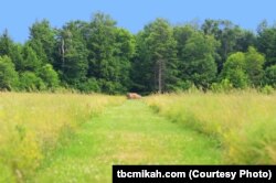 The impact site is marked by a large boulder in the field where Flight 93 crashed.