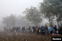Migrants walk through a field trying to cross the border with Croatia near the village of Berkasovo, Serbia October 23, 2015.