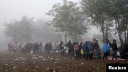 Migrantlar Serbiyaning Berkasovo qishlog'i yonidan o'tib ketyapti, 23-oktabr, 2015-yil