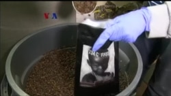 734 Coffee: Kopi untuk Bantu Pengungsi