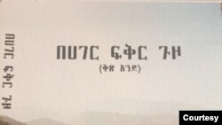 በአገር ፍቅር ጉዞ - በአብዩ ብርሌ