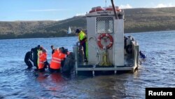 Para relawan mencoba menyelamatkan paus di Pelabuhan Macquarie, Tasmania, Australia, Selasa, 22 September 2020. (Foto: Reuters)
