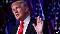 President-elect Donald Trump speaks during a rally in New York on November 9, 2016. Trump elicited wild cheers on the campaign trail by pledging to 'drain the swamp' in Washington but the president-elect's transition team is populated largely with creatures of the capital, including special-interests lobbyists. 