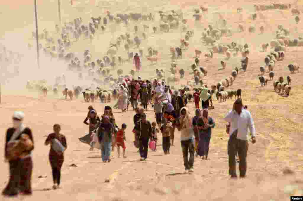 Displaced people from the minority Yazidi sect, fleeing violence from forces loyal to the Islamic State in Sinjar town, walk towards the Syrian border, on the outskirts of Sinjar mountain, near the Syrian border town of Elierbeh of Al-Hasakah Governate, Aug. 10, 2014.