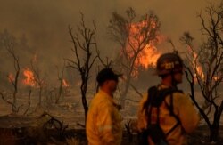 Members of the San Bernardino County Fire Department keep an eye on a flareup from the Bobcat Fire on Sept. 19, 2020, in Valyermo, Calif.