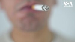 მოწევა კლავს - ნიკოტინი შესაძლოა კორონავირუსისგან გვიცავდეს