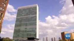 O'zbekistonning BMTdagi bugungi maqsadlari nima?