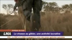 La chasse au gibier, une activité lucrative
