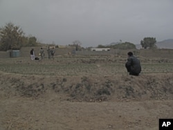 The ADT programs focus on education, irrigation, livestock and high-value crops, such as the saffron grown in this field.