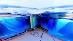 时事大家谈：热点快评：习近平第三度当选国家主席，世界最大规模民主不需要反对票？李克强说苍天，习近平谈神明，中共究竟敬畏谁？中共金融机构体制改革，中央集权防风险？