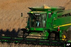 FILE - A farmer uses a combine to harvest his soybean field Oct. 21, 2014, in Loami, Ill.