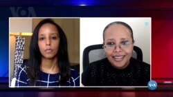 ቃለ መጠይቕ ምስ ፕሮፌሰር ኣስመረት ኣሰፋው በርሀ ኣብ መስርሕ ምርጫ ኣሜሪካ 2020