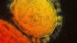 Hospitals Watch Diseases, Plan For Emergencies