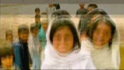 لویه پښتونخوا خپرونه په ټي وي