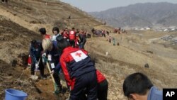 지난 2013년 4월 북한 평양 북부 구장군 룡철로동자구에서 적십자 직원과 학생들이 나무를 심고 있다. (자료사진)