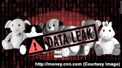 toy data breach