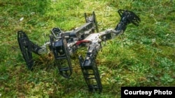 This robot, with a damaged arm, tests different responses using a trial-and-error algorithim and can learn to get up and keep walking in about a minute. (Credit: Antoine Cully/Pierre and Marie Curie University)