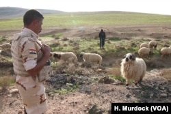 The fields surrounding Khafsa are littered with bombs and the bodies of militants killed more than a year and a half ago in Mosul, Iraq, Nov. 26, 2018.