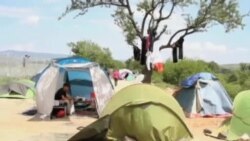 پناهجویان هنوز هم در ناامیدی بسر میبرند