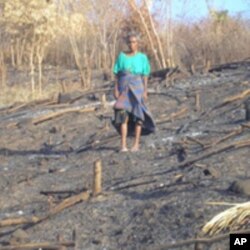 Slash and burn farming in Timor, Indonesia (ANTARA).