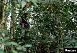 FILE - A fighter from the FDLR rebel group stands guard deep in the bush of eastern Congo.