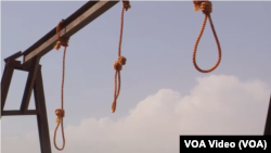 د افغانستان د زندانونو ریاست وايي د اباسین د قتل پر جرم درې تنه نن د پلچرخي په ګارنیزیون کې نن سهار اعدام شول.