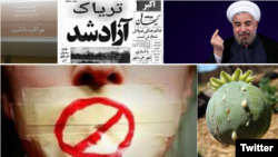 این خبر در میان کاربران فضای مجازی بازتاب زیادی داشت. برخی به شوخی نوشتند «تریاک را خدا آزاد کرد». 