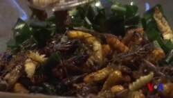 Ijtimoiy tarmoqlarda ovqat