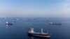 Commercial vessels including ships that are part of Black Sea grain deal wait to pass the Bosphorus strait off the shores of Yenikapi in Istanbul. (Reuters/Umit Bektas)