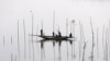 Fishermen place bamboo, where they will later place tree branches and fish food, to catch fish in a river in Dhaka, Bangladesh.