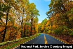 Fall colors in Shenandoah's north district