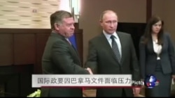 世界政要因巴拿马文件面临压力