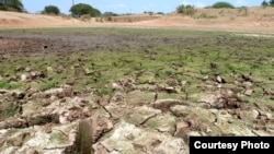 La crise alimentaire et nutritionnelle à laquelle sont confrontés les pays de la région du Sahel, exposés à la sécheresse, continue de se détériorer à un rythme alarmant, mars 2012. (AIEA)