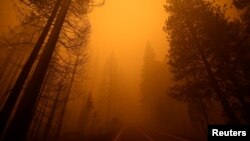 Požar u Kaliforniji (Foto: Rojters/Fred Greaves) 