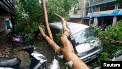 Vehicles are damaged by fallen trees uprooted by strong winds from Typhoon Soulik, in Taipei July 13, 2013.