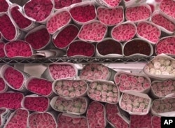 File -- Americans are expected to spend $1.9 billion on flowers for Valentine's Day 2019.