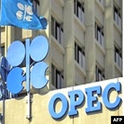 OPEC, Neft ishlab ishlab chiqaruvchi va eksport qiluvchi tashkilot, kelajakka tayyormi?