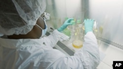 FILE - In this May 2020 photo provided by Eli Lilly, a researcher tests possible COVID-19 antibodies in a laboratory in Indianapolis. (David Morrison/Eli Lilly via AP, File)