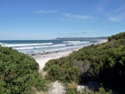 Taman Nasional Freycinet, Tasmania, Australia. (Foto AP / Carrie Osgood)