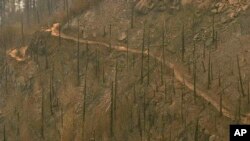 FILE - This image taken from video provided by KGW-TV shows fire damage to the area surrounding the Angel's Rest trail in the Columbia River Gorge near Cascade Locks, Oregon, Sept. 7, 2017.