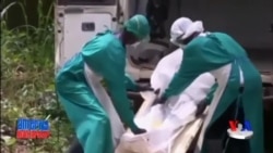 Ebolaga qarshi kurash/Hamshiralar talabi - Ebola/Nurses