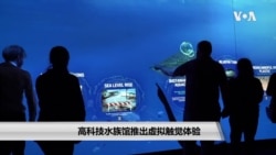 高科技水族馆推出虚拟触觉体验