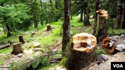 რაჭა, ცხრაჯვარი