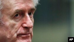 Radovan Karadžič, photo AP, 23. april 2018.