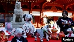 Owners of Sony's robotic dog 'Aibo' attend a ritual ceremony Sichi-Go-San, which is usually held for praying for children's health and wellbeing, in Tokyo