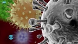 Carnet de santé: Covid-19, un an après