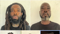 Lapolis Fouke 4 Sitwayen Baameyen pou Trafik Dwòg
