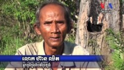 ប្រជា​សហគមន៍​និយាយ​ថា​ ពួកគេ​មិន​អាច​ទប់ស្កាត់​ការ​កាប់​បំផ្លាញ​ព្រៃ​ឡង់​បាន​ទេ