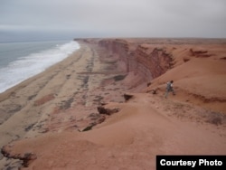 Modern cliffs of coastal Angola where Projecto PaleoAngola paleontologists excavate fossils of life that once lived in Angola’s ancient seas. (Projecto PaleoAngola)