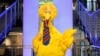 Big Bird Facing Criticism over Vaccine Message